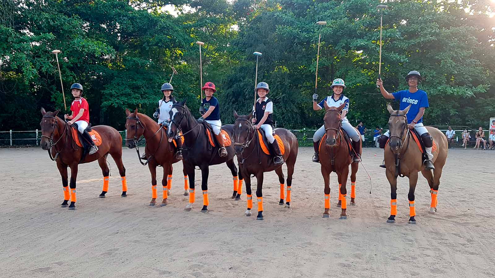 colts polo and riding lessons
